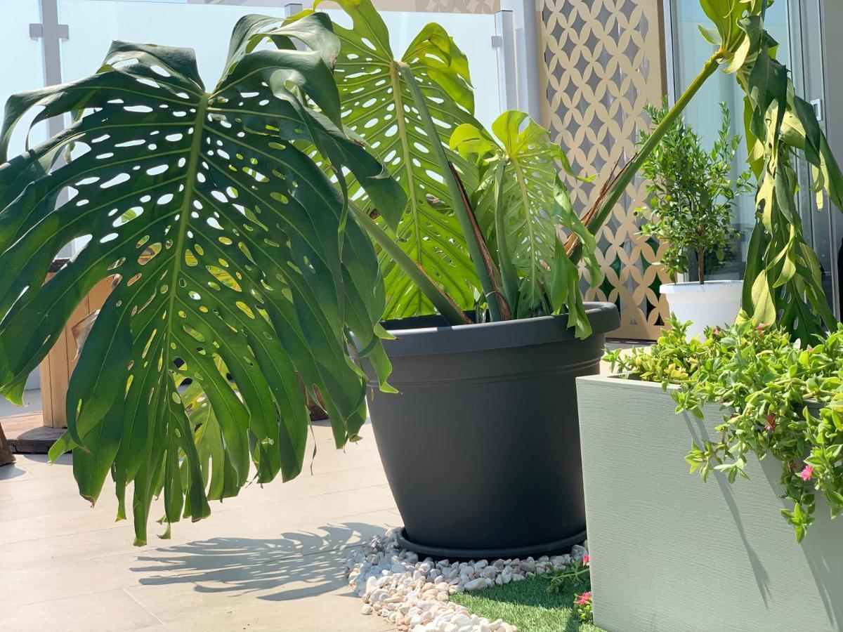 Dalu Suite Terrace Bari Kültér fotó